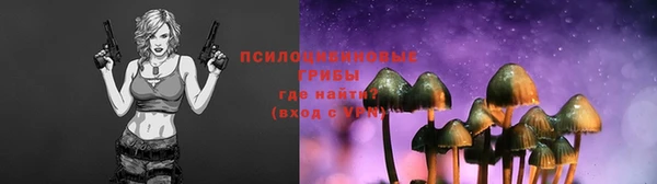 эйфоретик Осинники