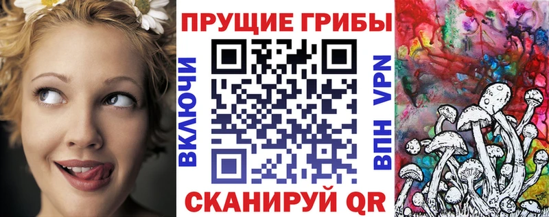 Псилоцибиновые грибы Cubensis  как найти закладки  ссылка на мегу рабочий сайт  Краснослободск 